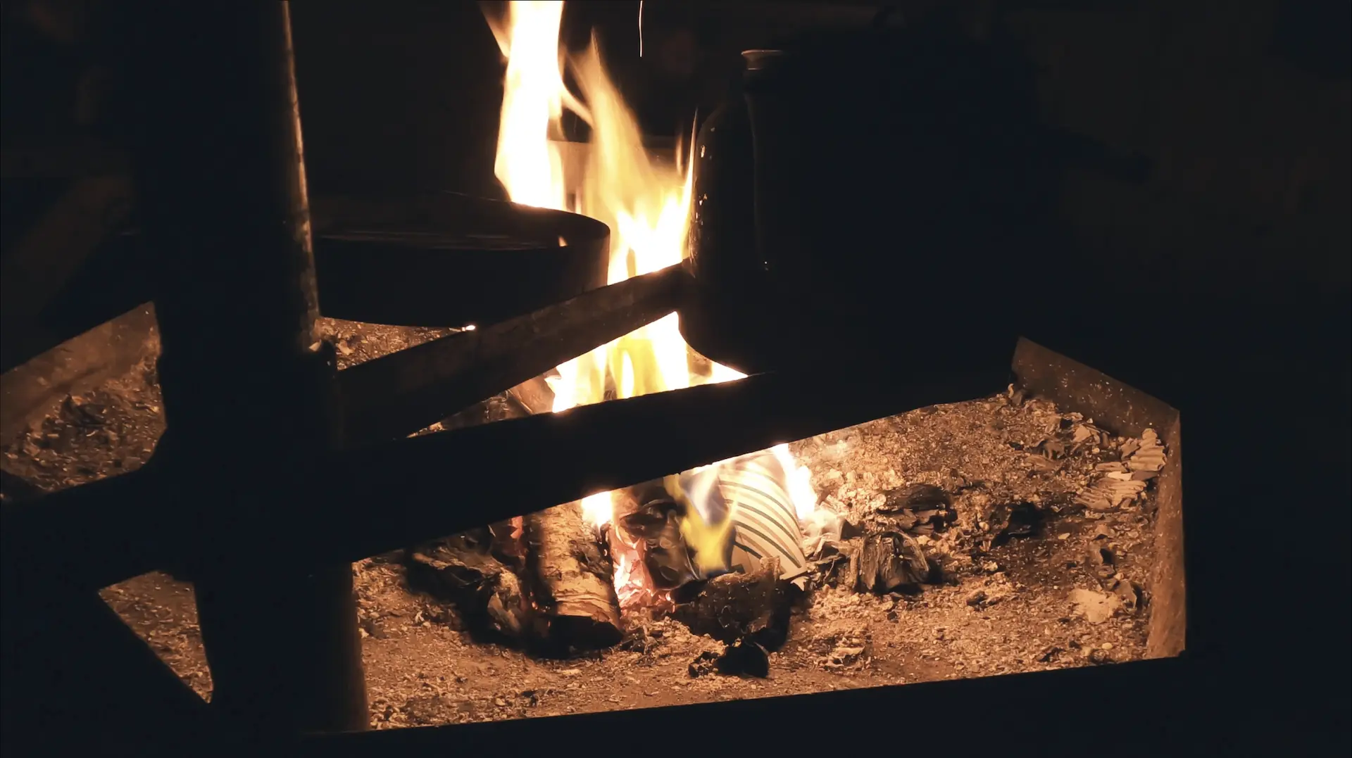 Husky Safari Tamokdalen